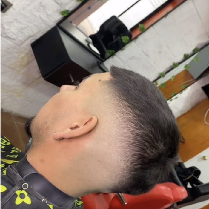 Corte